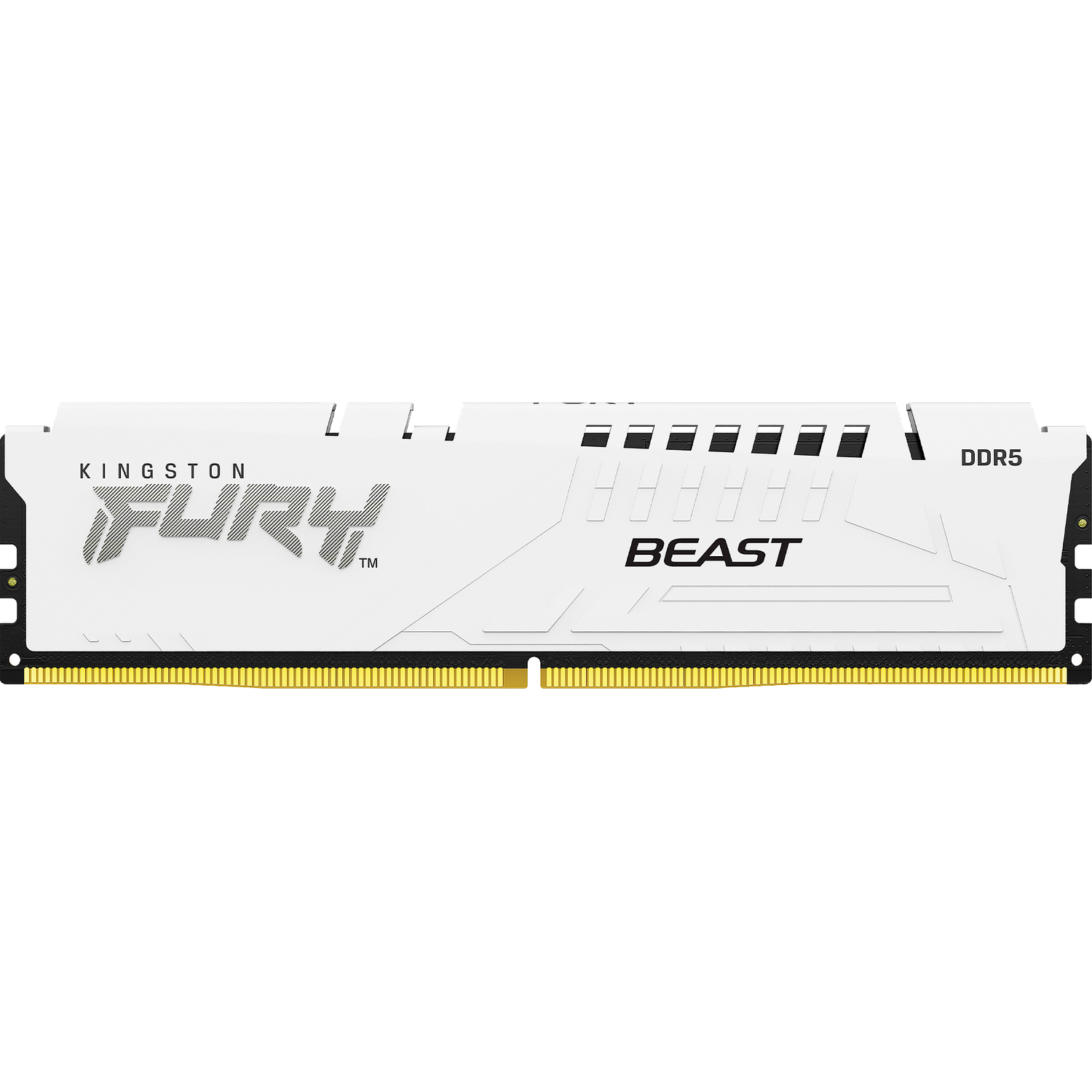 Память оперативная Kingston FURY Beast KF556C40BW-32